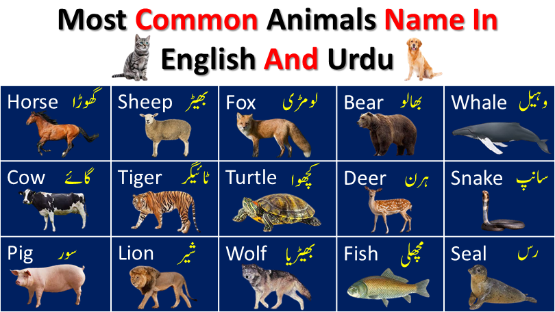 40 Most Common Animal Names In Urdu And English With Pictures