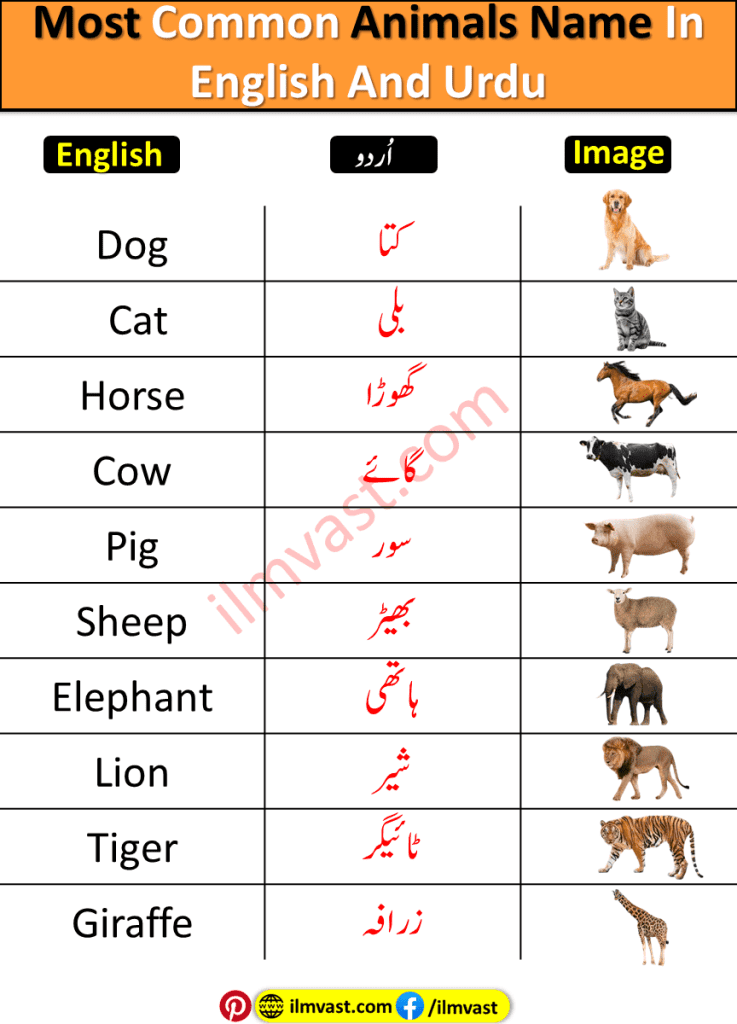 Most Common Animals Name In English And Urdu with pictures and simple explanation. 