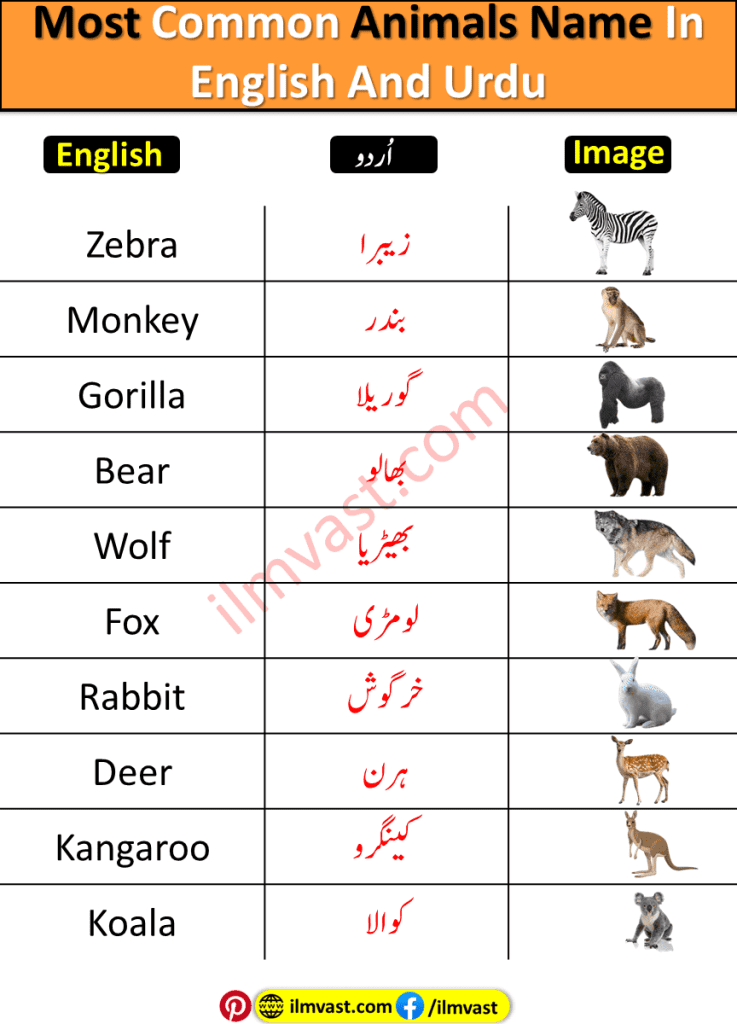 Most Common Animals Name In English And Urdu with pictures and simple explanation.