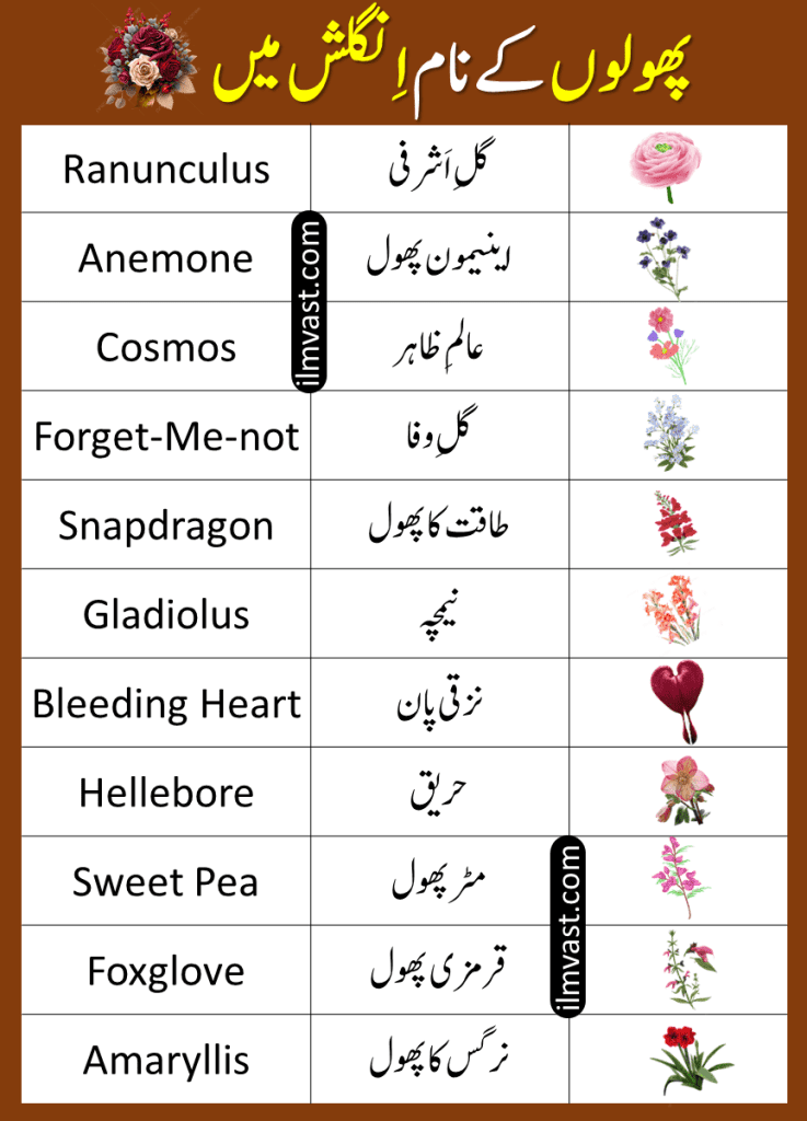 55 Names Of Flower In English And Urdu With Pictures and info about why flowers are important for our Environment.