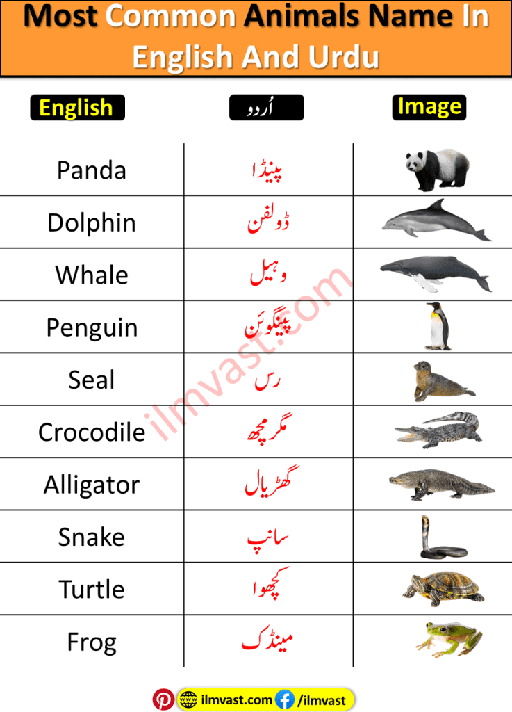 Most Common Animals Name In English And Urdu with pictures and simple explanation.