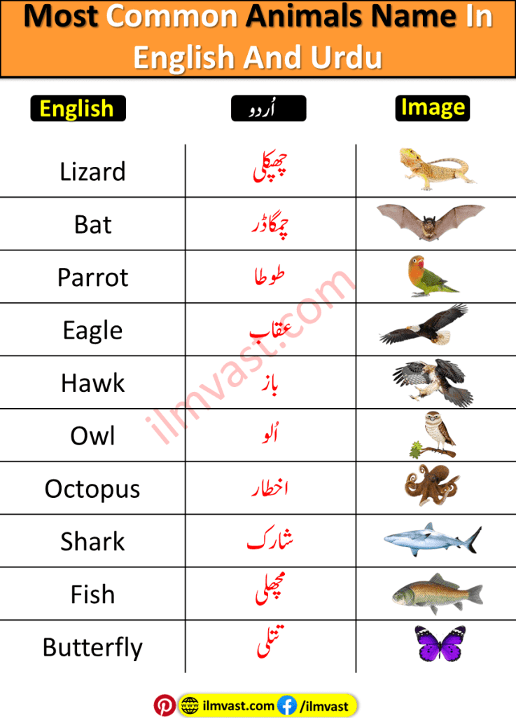 Most Common Animals Name In English And Urdu with pictures and simple explanation.