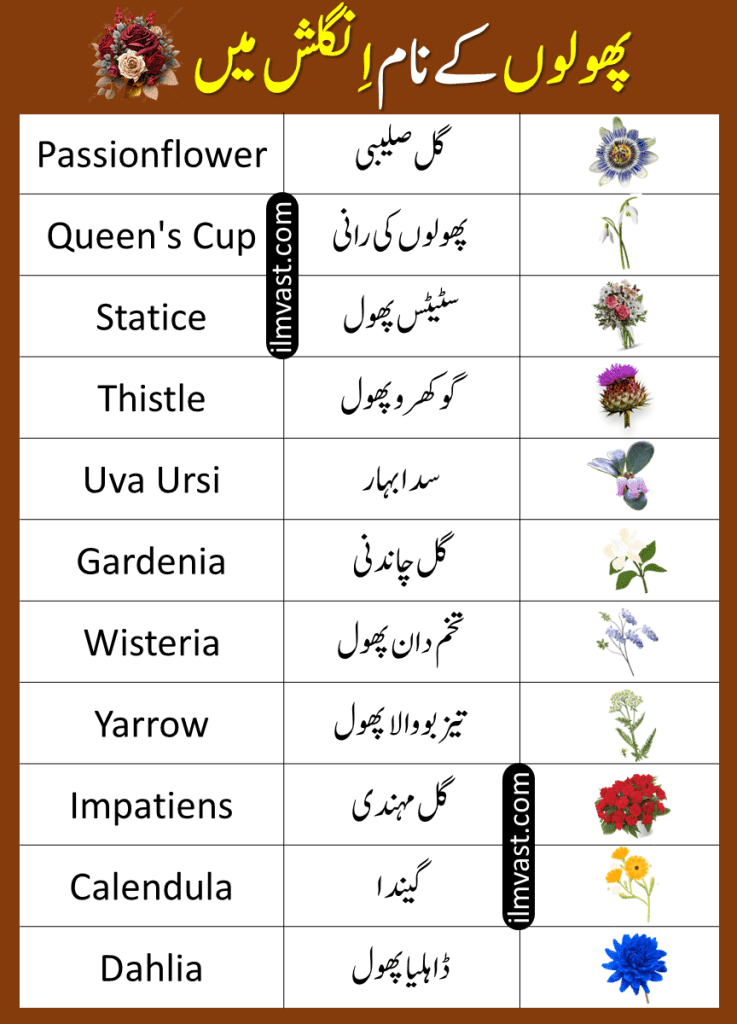 55 Names Of Flower In English And Urdu With Pictures and info about why flowers are important for our Environment.