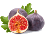 Fig