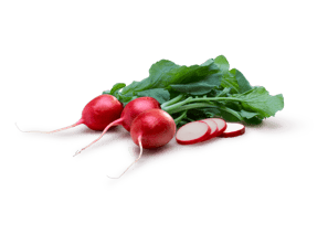 Radish