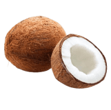 Coconut