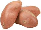 Sweet Potato