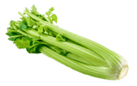 Celery