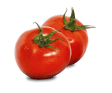 Tomato: