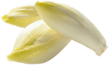 Endive