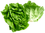 Lettuce