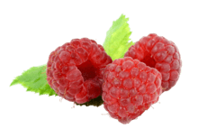 Raspberry