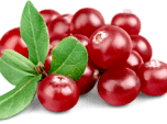 Cranberry