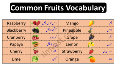 Common Fruits Names In English and Urdu with pictures