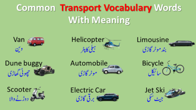 Common Transport Vocabulary Words With Meaning with simple Explanation