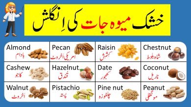 Common Dry Fruits Vocabulary Words In English and Urdu With Pictures