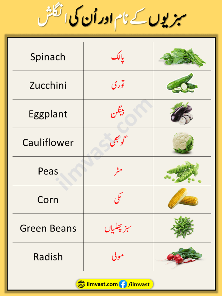 Common Vegetable Vocabulary Words In with simple explanation