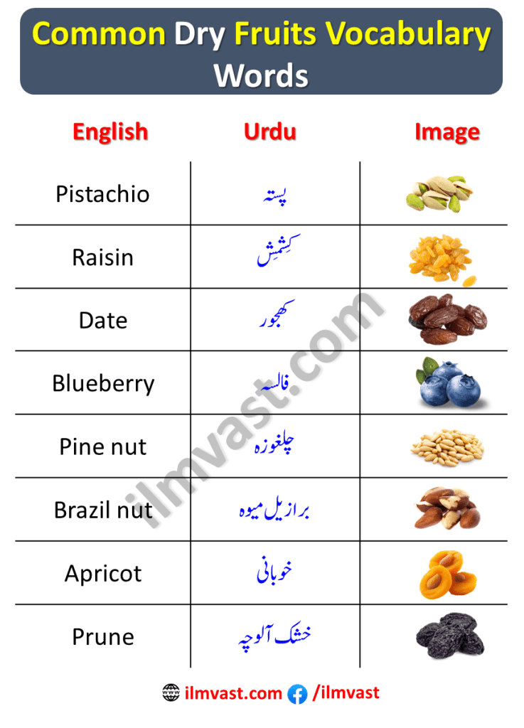 Common Dry Fruits Vocabulary Words In English and Urdu With Pictures