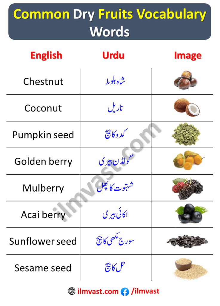 Common Dry Fruits Vocabulary Words In English and Urdu With Pictures