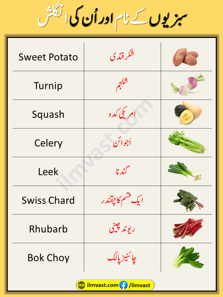 Common Vegetable Vocabulary Words In with simple explanation