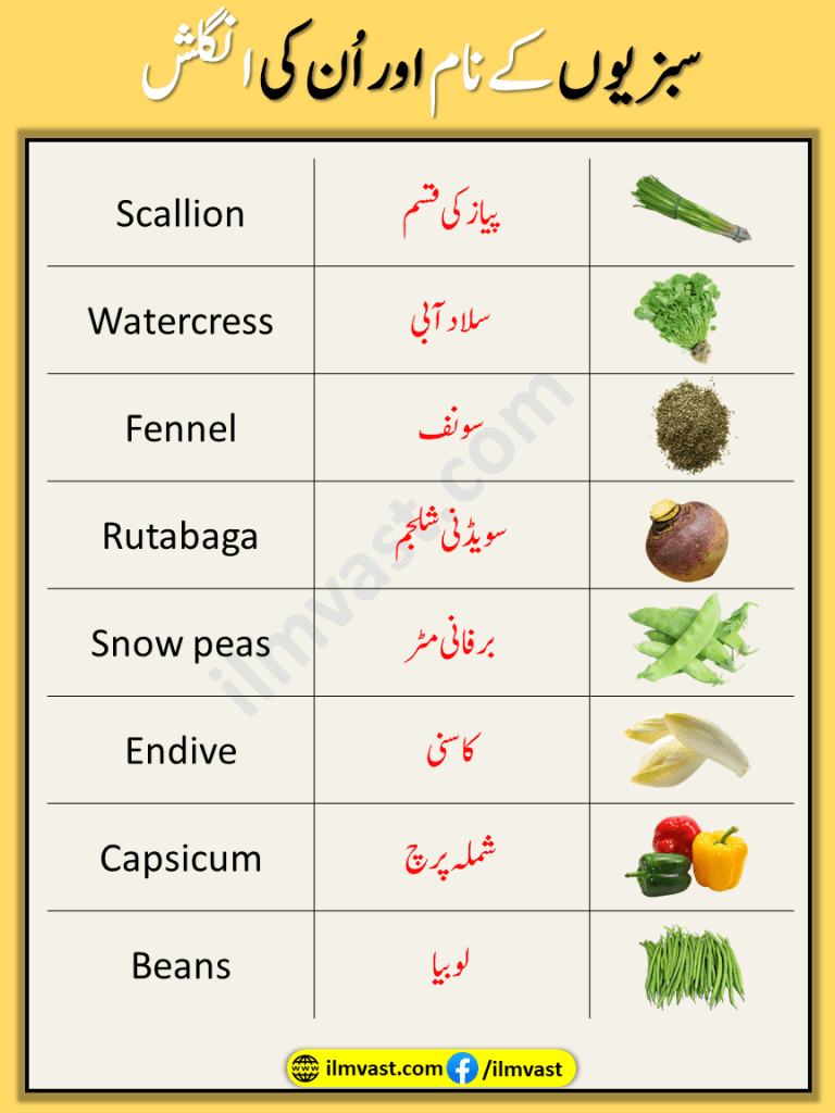 Common Vegetable Vocabulary Words In with simple explanation