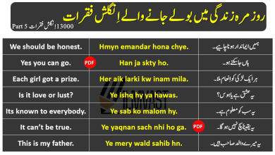 13000 Daily Use English To Urdu Sentences Part 5