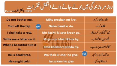 13000 Daily Use English To Urdu Sentences Part 6