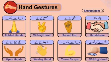 Hand Gestures Meaning In Urdu & Signs In English And Urdu
