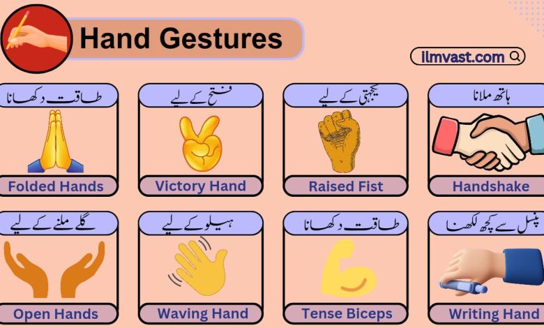 Hand Gestures Meaning In Urdu & Signs In English And Urdu