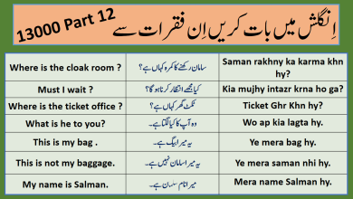 13000 Daily Use English To Urdu Sentences Part 12