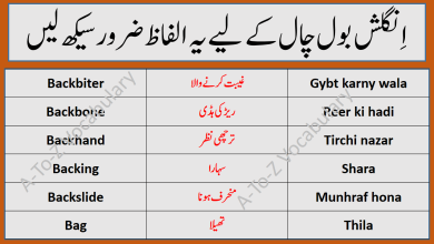 Series Of A-To-Z English To Urdu Vocabulary Part 2