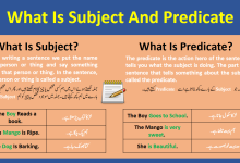 What Are The Subject Predicate And Their Types With Examples