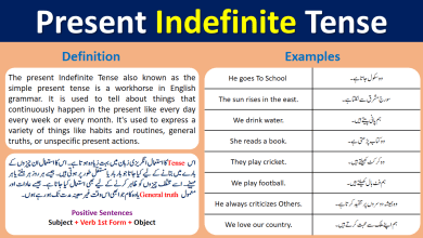 Present Indefinite Tense And Simple Tense With Examples