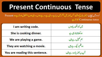 Present Continuous Tense In Urdu And English With PDF
