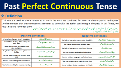 Past Perfect Continuous Tense Definition Examples In Urdu