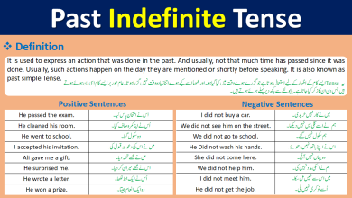 Past Indefinite Tense Definition Examples In Urdu