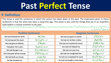 Past Perfect Tense Definition Examples In Urdu